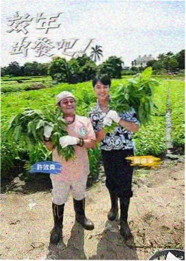 户外冒险综艺